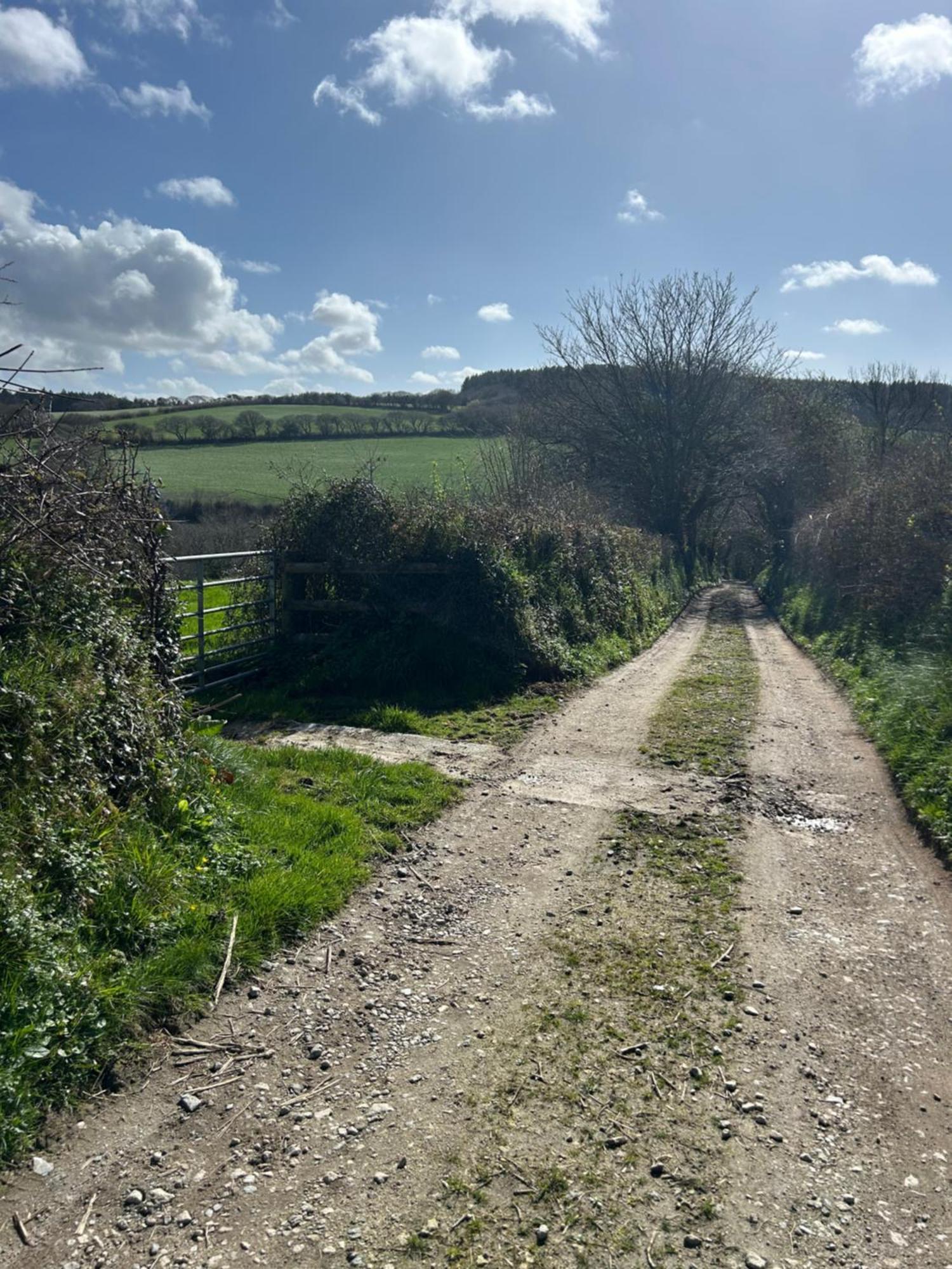Meadowside Cottage, Characterful Grade 2 Listed Cottage Near To Wadebridge And Padstow Exterior photo